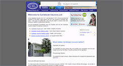 Desktop Screenshot of caribbins.com